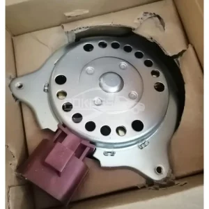 DZSDJYB DZSDJ Auto Radiator Cooling Fan Motor Electricity Fan Assembly for Ford Ecosport 13