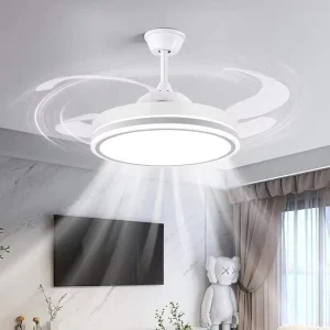 Dailu 48inch Indoor Lower Noise Ceiling Fans with LED Lighting Retractable Remote Control for Home LED Ceiling Fans