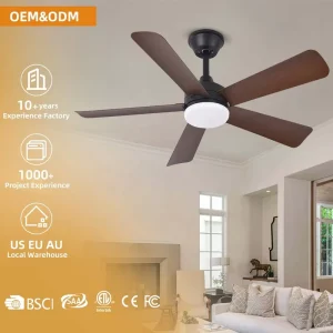 Decorative Ceiling Fan Lamp 52 Inch 5 Blades Ceiling Fan Modern Smart Indoor Ceiling Fan with Light and Remote Control