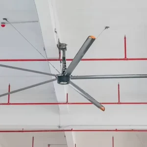 Decorative Ceiling Fan OEM CE Certified Air Cooler Fan for Sport Center Industrial Large Fan