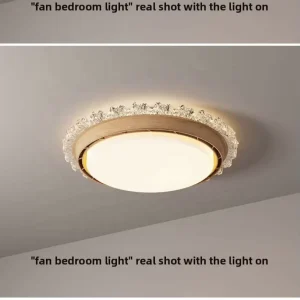 Decorative Ceiling Light Rotating air Supply Modern Bedroom Decoration Remote Control LED Ceiling Fan with Light