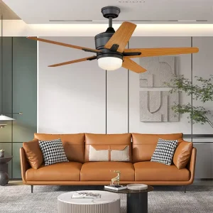 Durable Decorating Fancy Ceiling Fan Modern Dc Ceiling Fan With Led Light