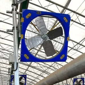 Electric Stainless Steel Wall-Mounted Axial Flow Fan with Ball Bearing for Livestock Ventilation and Cooling