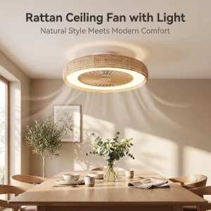 Energy-Efficient LED Ceiling Fan DC24V Motor 6-Speed APP & IR Control Reversible Wind ABS+PE Rattan Timer Function
