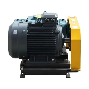 Factory Price High Pressure Corrosion Resistant Cast Iron AC Low Noise Power Saving Roots Vacuum Blower Industrial Waste Water