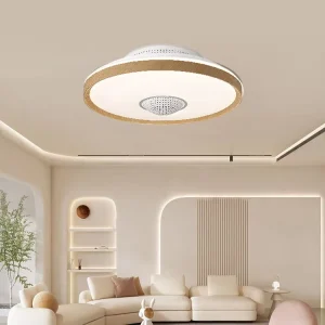 Factory Safe Leafless Ceiling Fan with LED Light Smart Remote Control Cold & Warm Color for Home