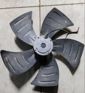 Fan