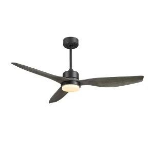 Fancy Designer Decorative 52 Inch Modern Ceiling Fan Lighted Electric Ceiling Fan with LED Lights Remote Control
