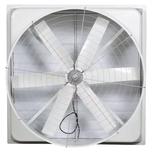 Fiberglass Industrial Wall Mounted Ventilation Exhaust Fan Axial Roof Fan for Factory Farm Greenhouse Poultry Accept OEM ODM OBM