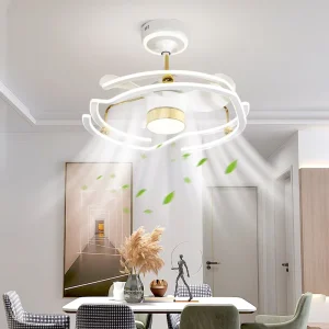 Frequency controlled Modern Minimalist Iron Ceiling Fan Chandelier LED Remote Control Agi32 Layout Bedroom Dining