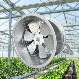 Greenhouse and Poultry Farm Air Circulation Fan 800mm Models Hanging Ventilation Fan for 380V Manufacturing Plant Use