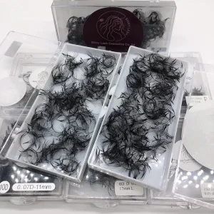 Handmade 5D 10D 12D Bulk 0.07 Pre Made Volume Fans Lash Extension 12mm Length with 6D Design Pointy Base Stem