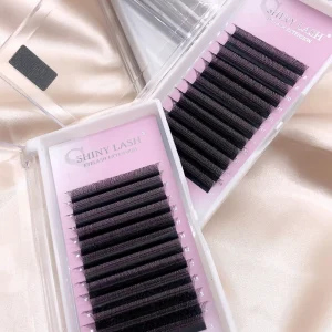 Handmade W Lashes Individual 3D Clover Weave Lashes Matte Black Pre made Volume Fan Eyelash Extension