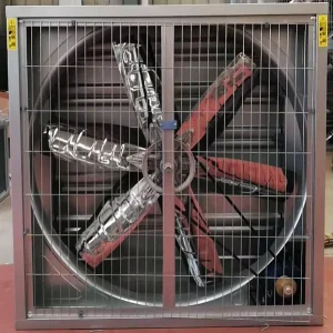 Heavy Duty Large Size 1380 mm 1530 mm Size Exhaust Type Belt Driven Industrial Exhaust Fan for Green House