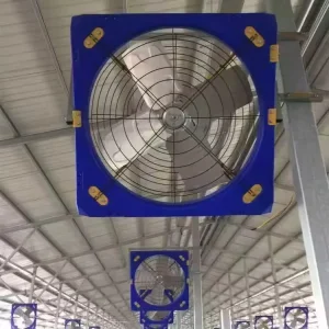 High Efficiency 6 Feet Wall Mounted Axial Cowshed Fan Livestock Ventilation Exhaust Fan for Cattle Shed and Poultry Farm