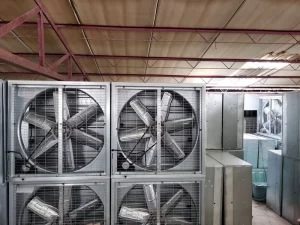 High Efficiency Electric Livestock Exhaust Fan Stainless Steel Blades OEM Customizable Voltage for Poultry House Ventilation