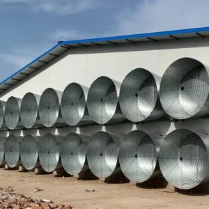 High Efficiency Poultry Exhaust Fan for Commercial Chicken Farm