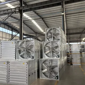High Power High Temperature Axial Brushless Fan Electric ODM Negative Pressure Exhaust IP55 Protection 220V 380V for Large Scale