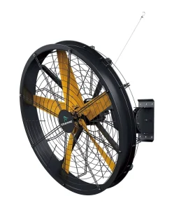 High Quality Wall Mounted Heavy Duty Single Phase 50Hz Industrial Fan for Warehouse