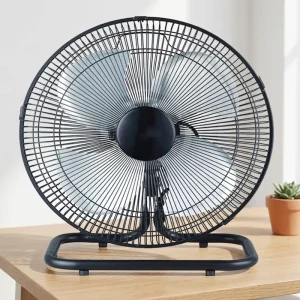 High Speed 10 Inch Metal Material Electric Ultra Quiet Air Cooling Fan with Mechanical Control