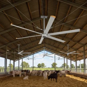 Hvls Fan Motor 1500w 12ft 14ft 16ft Modern HVLS Fans Industrial Ceiling Fan with Low Noise Energy Saving Design