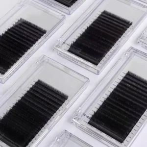 Individual Eyelash Extensions 0.03 0.05 0.07 0.15 0.20 mm Korean PBT Natural Long Russian Volume Easy Fan OEM Private Label