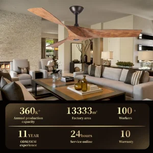 Indoor Outdoor Energy Saving Electric Ceiling Fan with 3 ABS Plastic Blades Remote Control 52 Inch Diameter Hotel Use