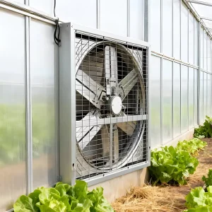 Industrial 50inch 56inch Axial Flow Exhaust Fan 50Hz 220v 380v Customized Large Airflow Ventilation for Poultry Farm Greenhouse