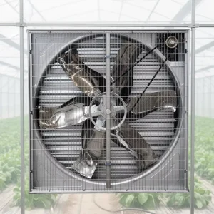 Industrial Exhaust Fan AC 220V 380V Electric Motor 100% Copper Wire Stainless Steel Blades Ball Bearing Wall Mounted OEM ODM