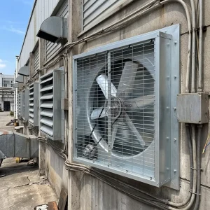 Industrial Wall Mounted 50 Inch Exhaust Fan Big Industrial Cooling Frp Fan With High Speed Restaurant Ventilation Fan Types