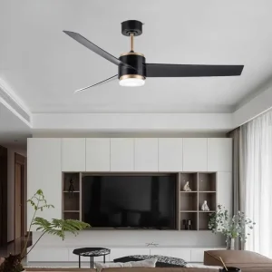 JK ZS 52 23119BK Modern Ceiling Indoor Fan Decorative Smart Luxury Ceiling Fans With Led Lights Remote Control