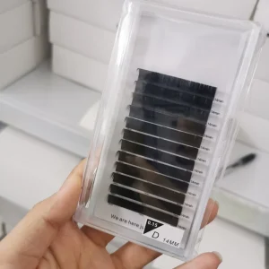Korean PBT Fiber Full Volume Eyelash Extensions 5 25mm Foil Backed Super Soft Easy Fan Curl Trays
