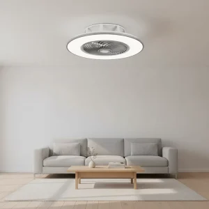 LED Ceiling Fan Bedroom Intelligent DC Pure Copper LED Lighting Meeting Room Indoor Low Noise Ceiling Mount Fan