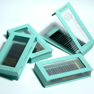 LISSOMORE Custom Logo Premade Volume Fan Eyelash Extensions 3D 4D 5D 6D W Clover YY V Shape Lashes Professional Trays