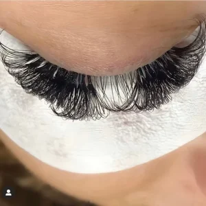 Lash Extension Supplies Pro Made Fans Eyelash Extensions Premade Volume Fans