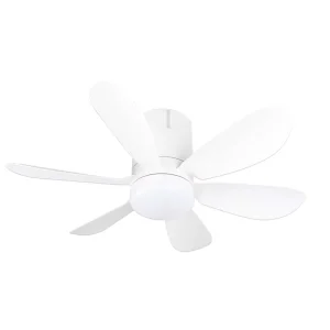 Led Light Ceiling Fan with Remote