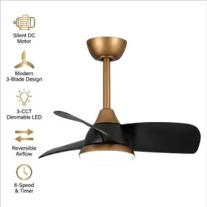 Little Size 28/24 Inch Custom Various Option LED Ceiling Fan Smart RC with Pass CE/CB/SAA(RCM) Etc