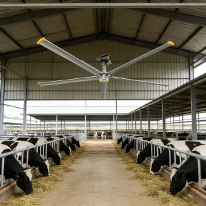 Livestock 24feet HVLS Industrial Ceiling Fan Ventilation Air Flow Big Ceiling Fan