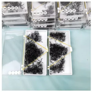 Loose Fans 500 Fans 0.05 0.07 Eyelash Loose Premade Eyelash 5D 20D Loose Promade Fans Promade Lashes Eyelash Extensions