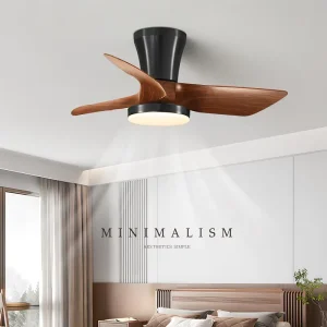 Luxury 29.5 Inch Smart LED Ceiling Fan Lamp Lights 220v Remote Control Small Living Room Low Profile Motor