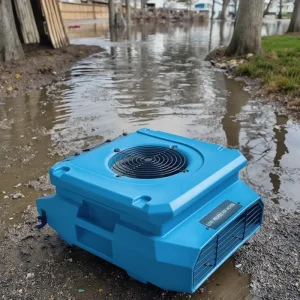 Manufacturer 1000CFM Water Damage Restoration Air Mover Carpet Drying Fan