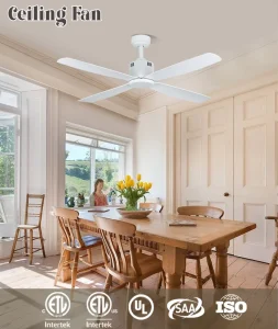 Manufacturer Low Noise 52 Inch 4 Abs Blades Ceiling Mount Flush Fan 110V White Ceiling Fan