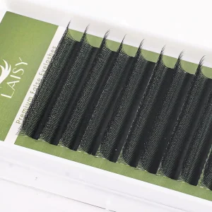 Matte Black W Clover Pre fanned Volume Lash Fans 3D 6D Uniform Blooms Heat Bonded Root Long Lasting Eyelash Extensions
