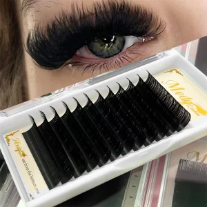 Medy Private Label Soft Russian Volume Eyelash Extension Trays Dark Matte Black Silk Mink Cashmere Fan Eyelashes