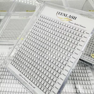 Mega Premade Premade Eyelash Extension 2d 3d 4d 5d 6d Pointy Base Handmade 0.07 0.10 Long Stem Promade Volume Fans Lash