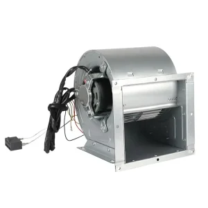 Metal DDN Centrifugal Fan 220V 50Hz Motor with Blower Industrial Air Exhaust Kitchen Free Standing ODM OEM
