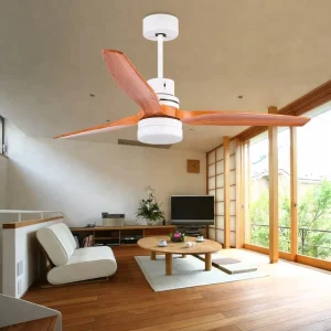 Minimalist Design 52 Inch 3 Blades Home Decorative Bldc Led Ceiling Fan With Light Remote Control