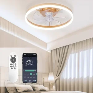Modern 20 Inch Smart LED Ceiling Fan Light Remote Control 6 Gear Wind Speed Multifunction for Living Room Household LED Plastic