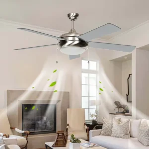 Modern 52 Inch AC DC Indoor Ceiling Fan With 5 Blades and Led Light Home Appliance Decoration for Living Room 220V Glass Body