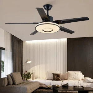 Modern 52 Inch Black Iron High Speed LED Lamp Remote Control 5 Metal Blade 220V Living Room Dining Home Ceiling Fan with Light